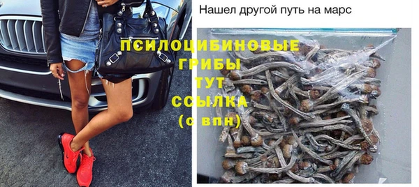 кокс Аркадак
